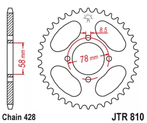 Rozeta J.T.0810-428-37