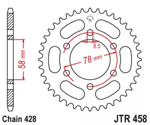 Rozeta J.T.0458-428-40